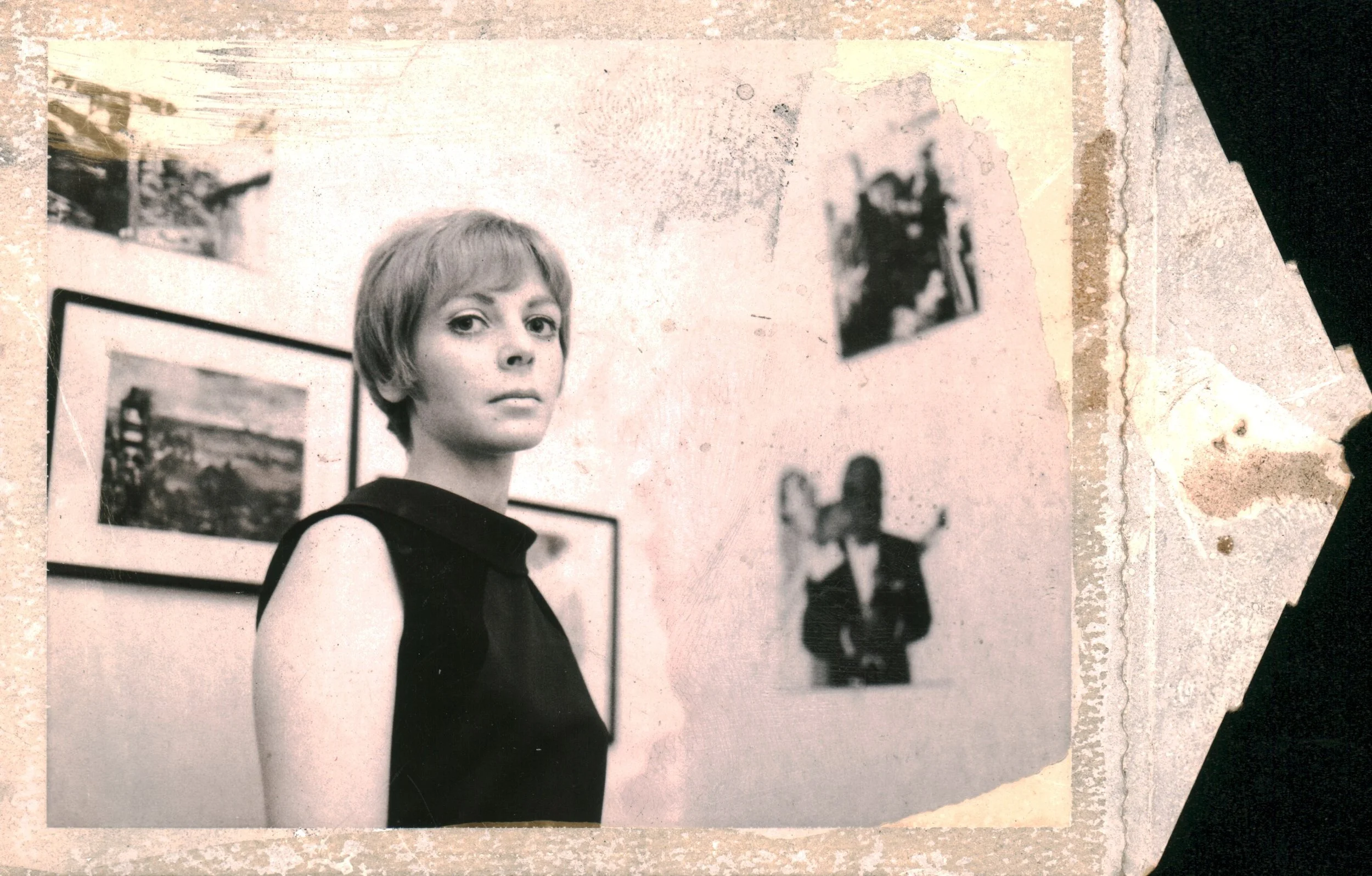 BIO — JILL FREEDMAN